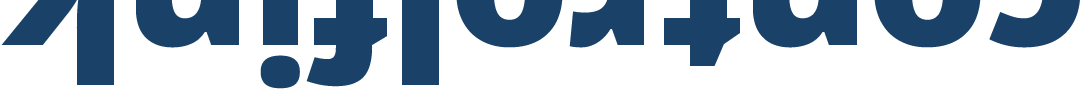 Controlfink logo